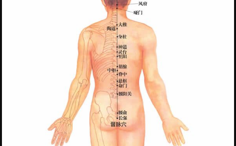 命門(mén)穴的位置